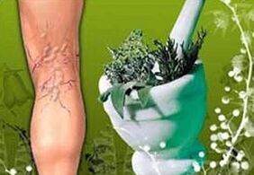 Plante medicinale pentru tratarea venelor varicoase